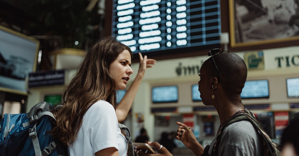 Travel Consultant