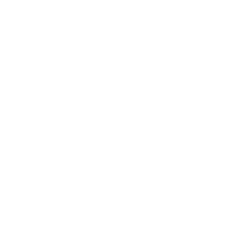 Портретная экспертиза