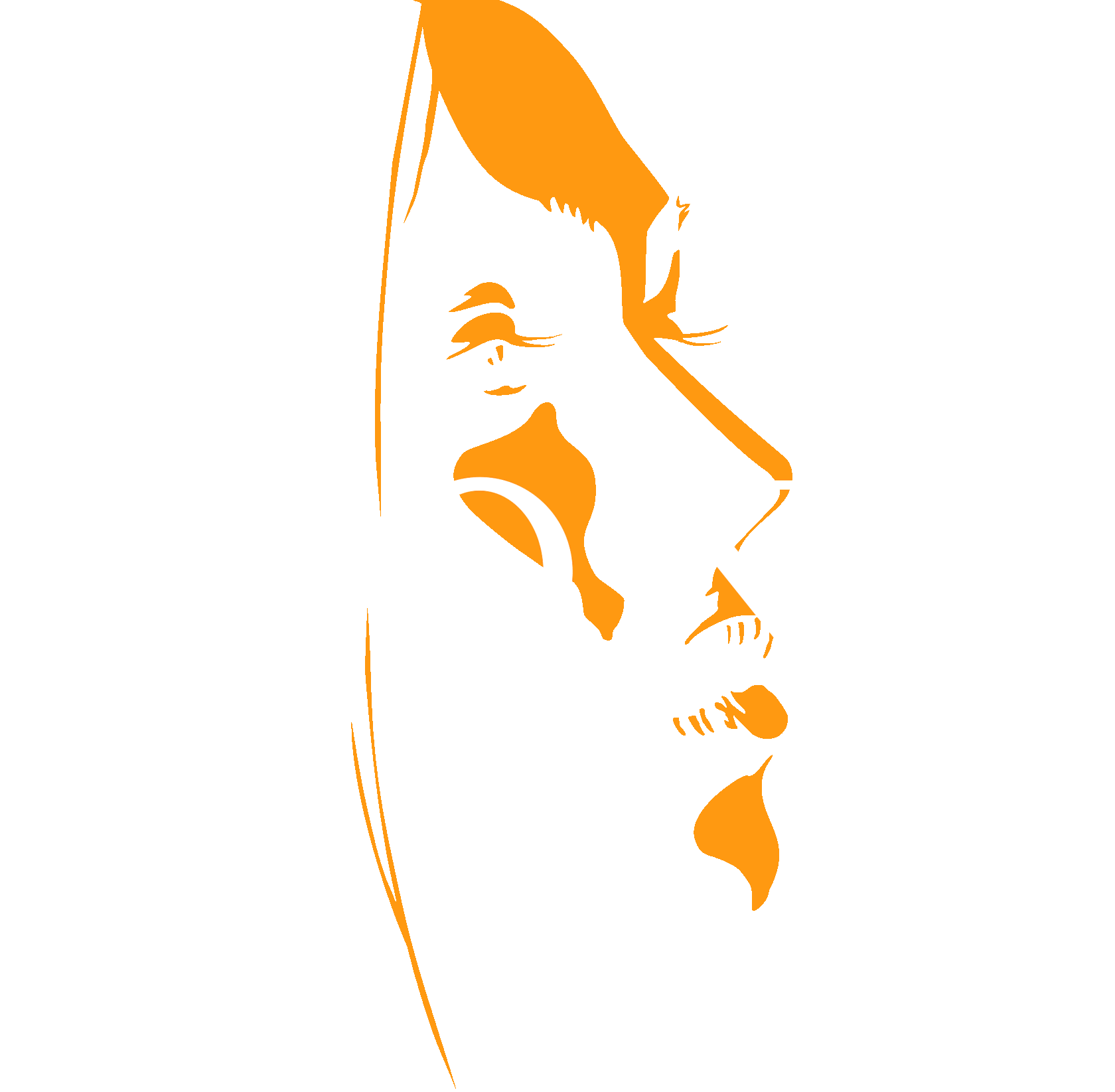RONI STUDIO