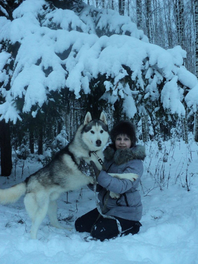 Хаски хаус база отдыха