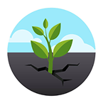  +7(921) 305-10-10 (круглосуточно) 