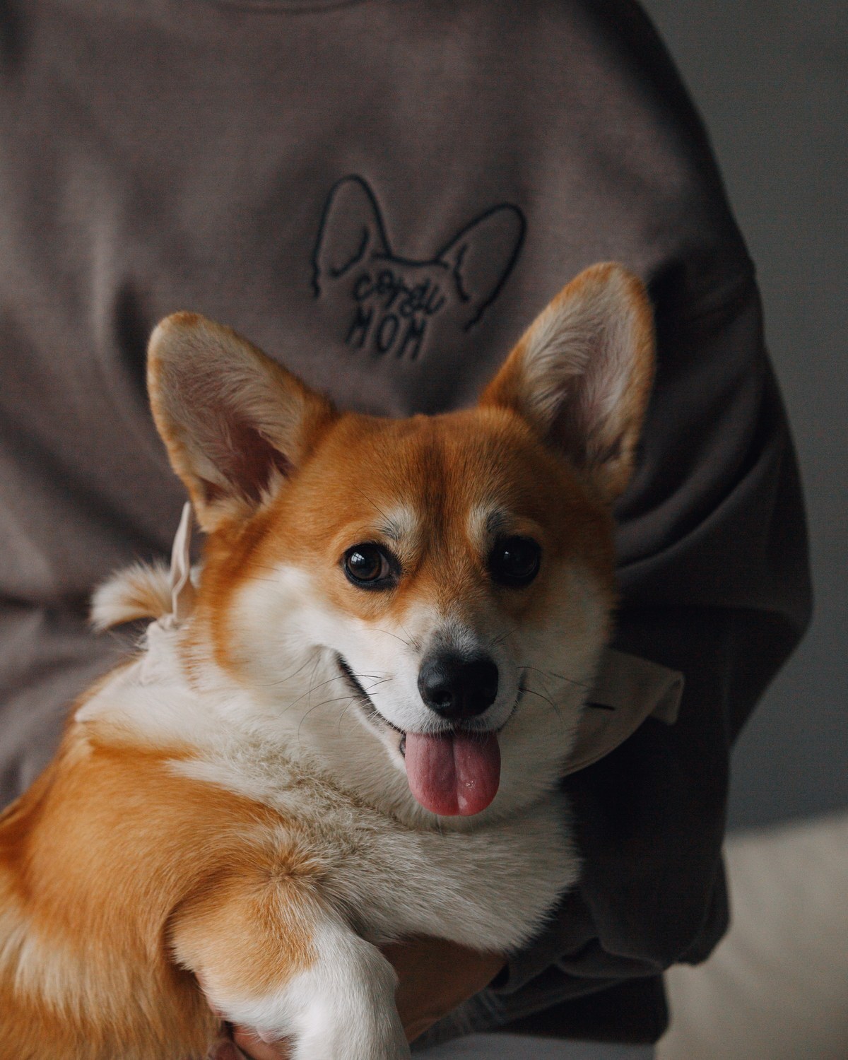 Вышивка «Corgi MOM» на свитшоте и корги рядом