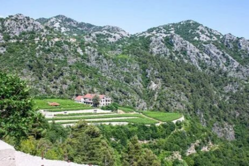 Черногорское вино Липовац в Японии