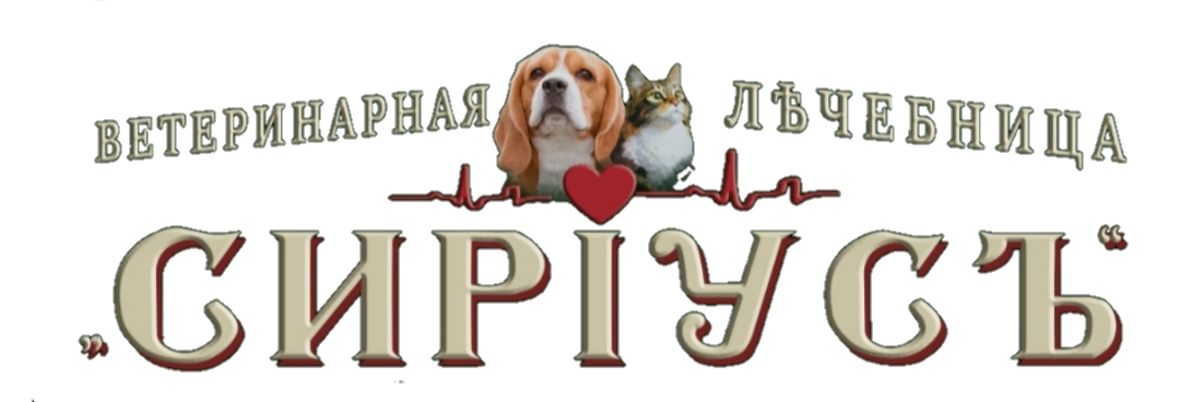 Picture background