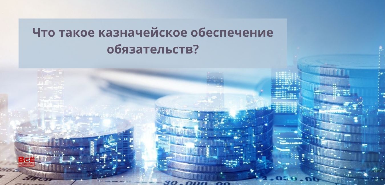 Что такое казначейское обеспечение обязательств