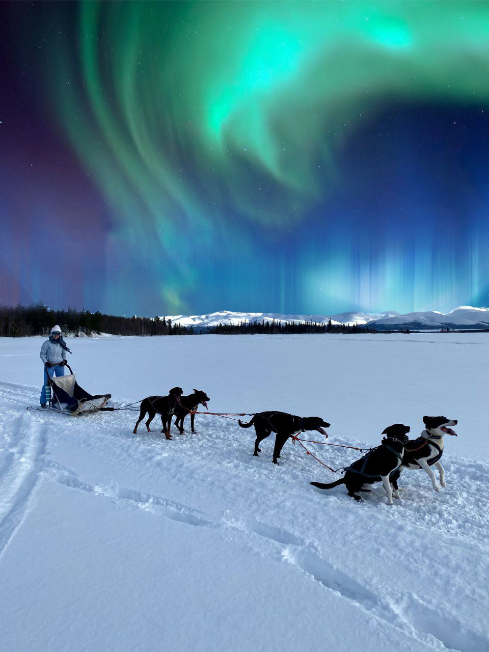 Северное сияние в Мурманске туры из Москвы