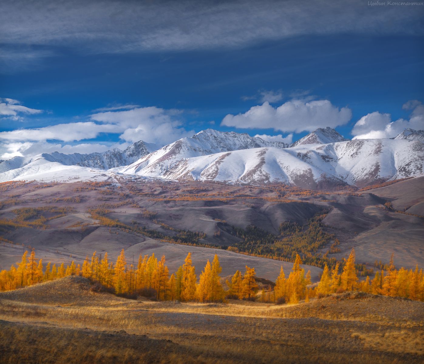 Курайская степь горный Алтай