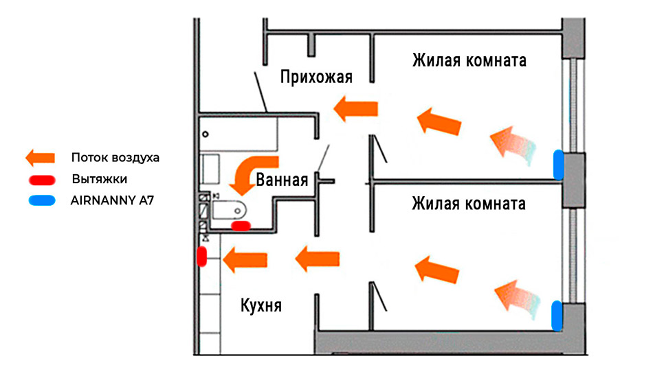 Народные средства лечения аллергии