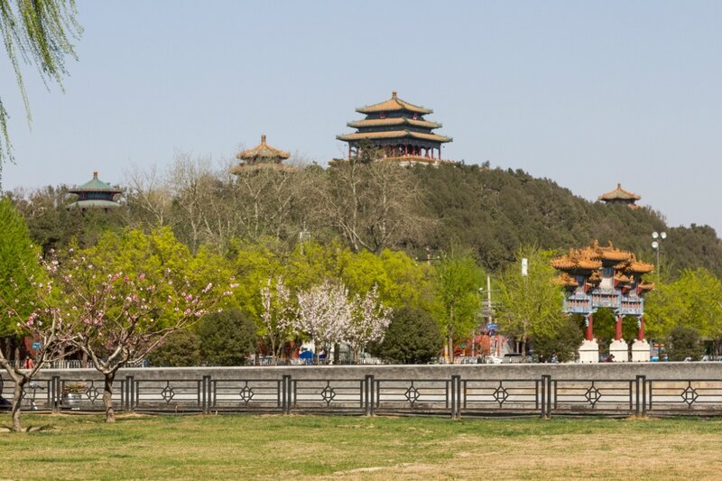 Всего в парке 5 павильонов