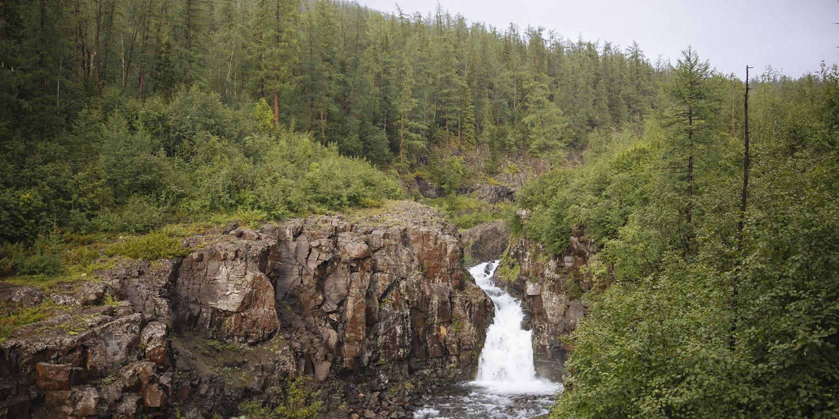 Опровергаем миф: чем больше углекислого газа, тем лучше для растений