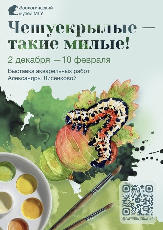 «ЧЕШУЕКРЫЛЫЕ – ТАКИЕ МИЛЫЕ»