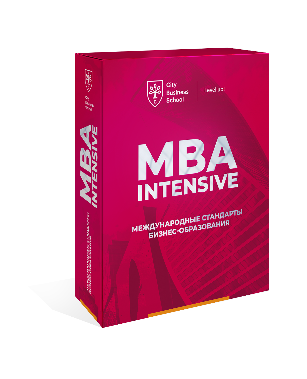 Мва. MBA Intensive. MBA В картинках. Программа МВА. Диплом MBA Intensive.
