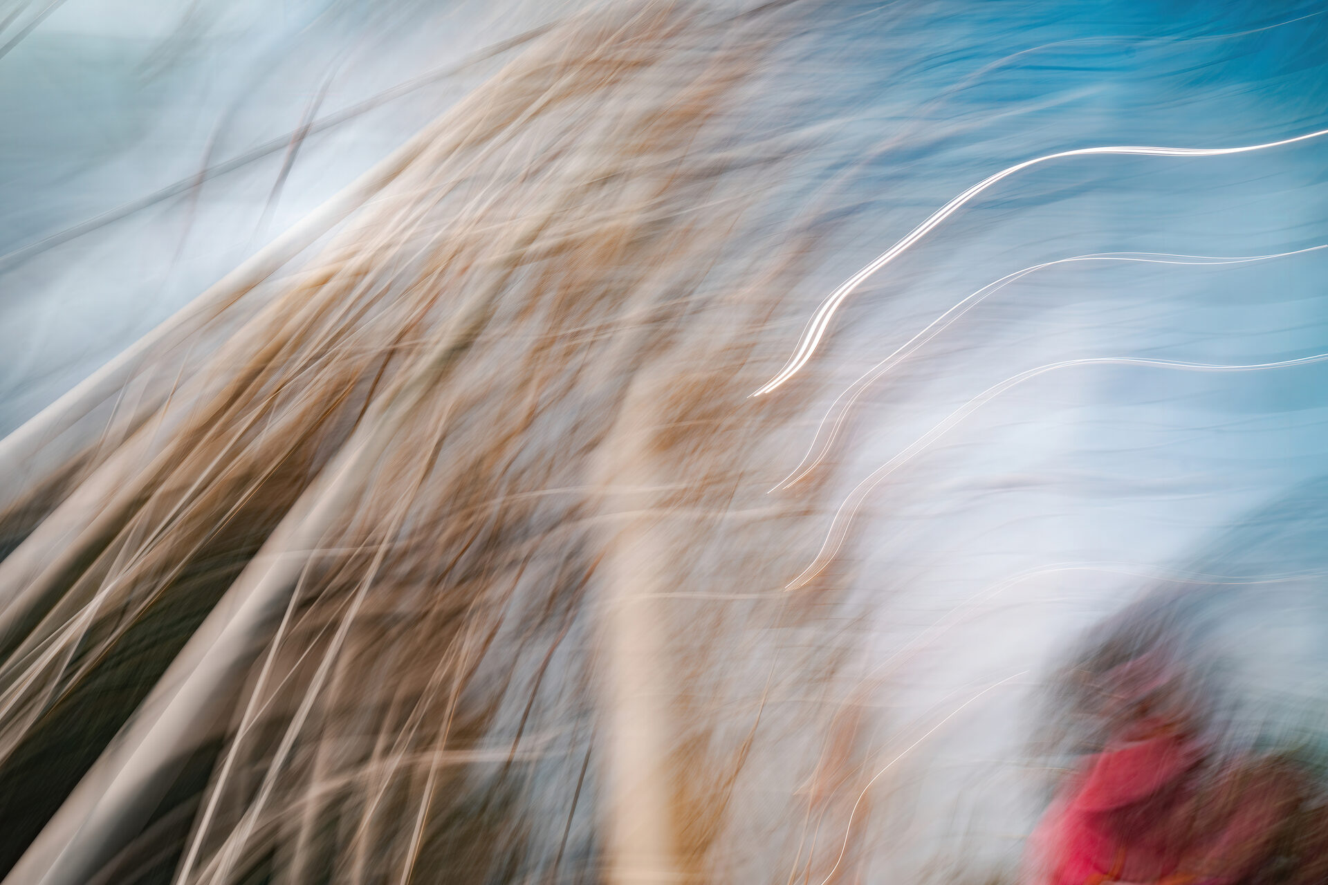 Сергей Михалюк: Флюксизм. Твой след во вселенной