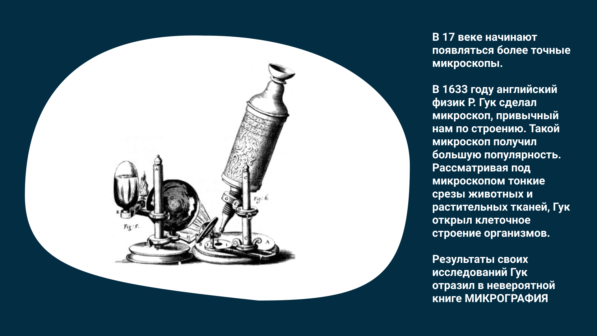 Изобретение микроскопа. Микроскопия XVII столетия