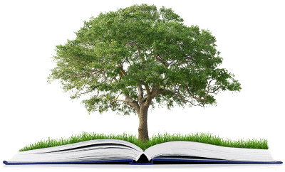 Оплата договора на оказание услуги банкротства физического лица