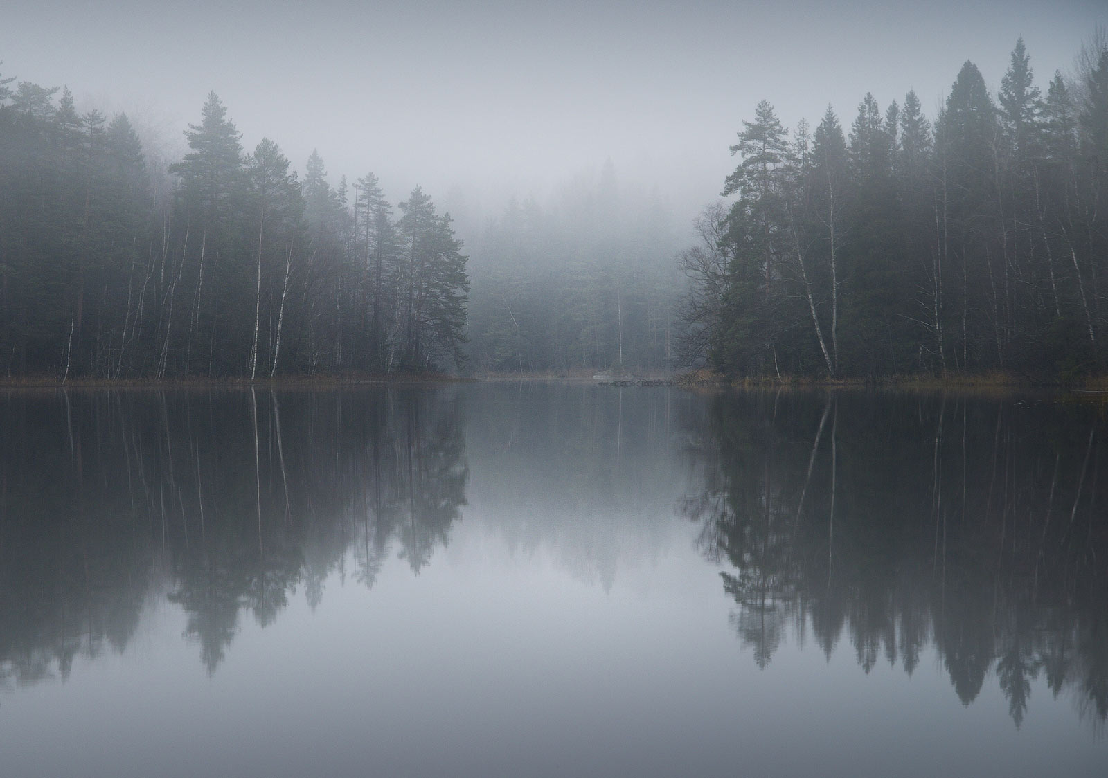 Озеро Леушинский туман