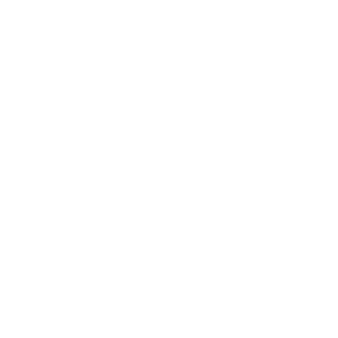 Партнёр 1
