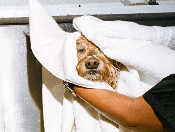 Гигиенический уход