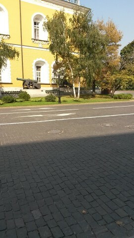 французская мортира