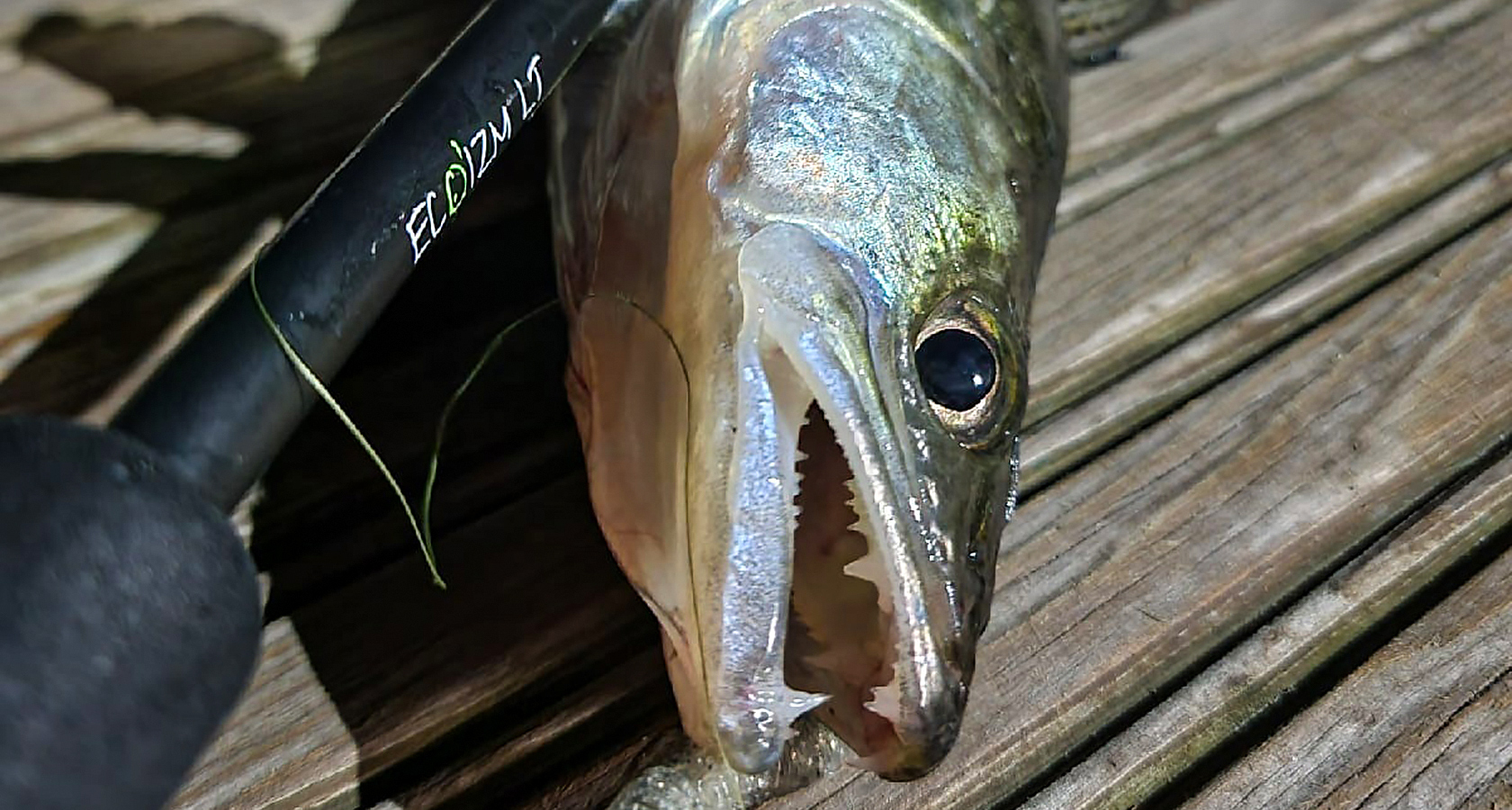 Джиг/лайт джиговый спиннинг Nautilus Eco’izm LT