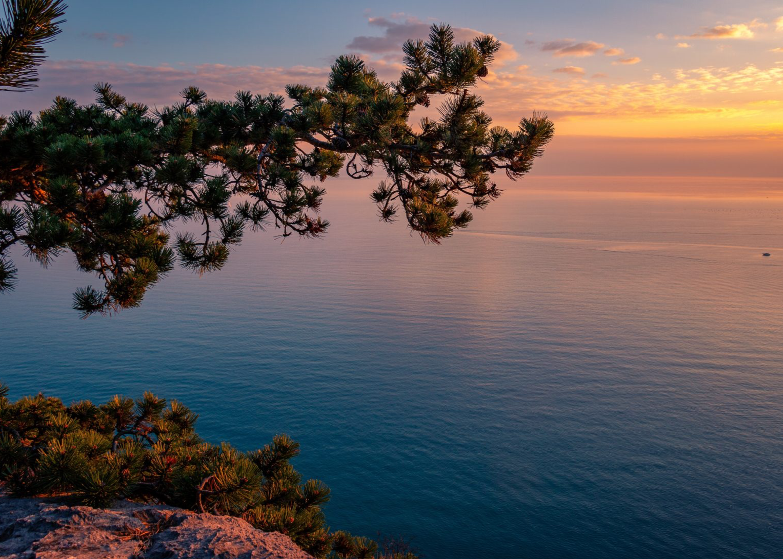 yacht charter аренда яхт