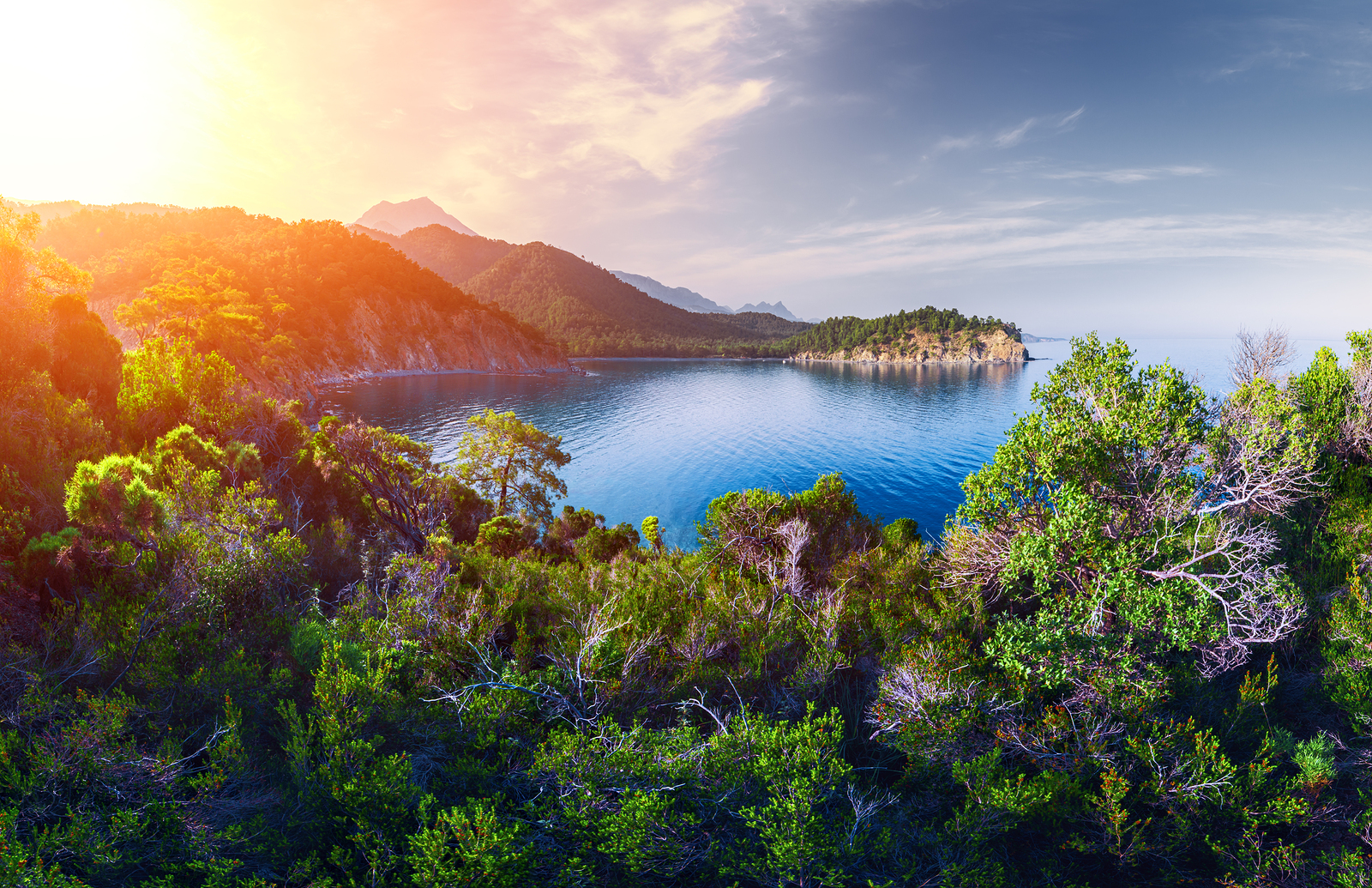 yacht charter аренда яхт