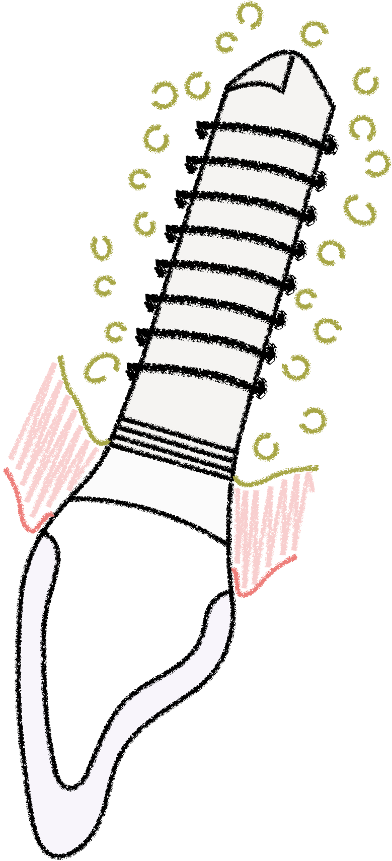 Имплантация зубов | Zubkov Dental Clinic в Курске