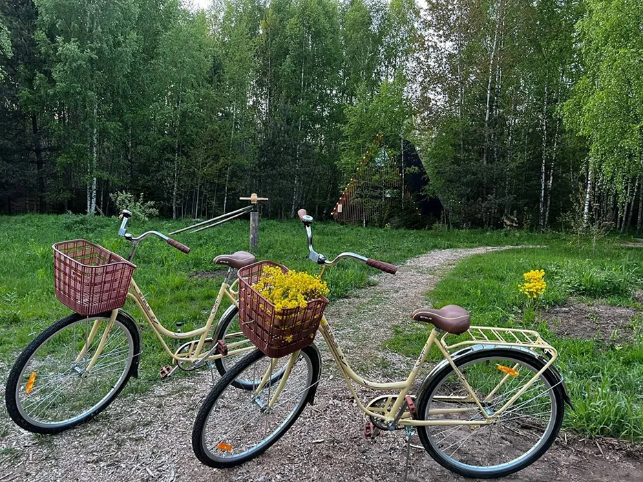 A-Frame в глэмпинг «Под кронами» в Подмосковье