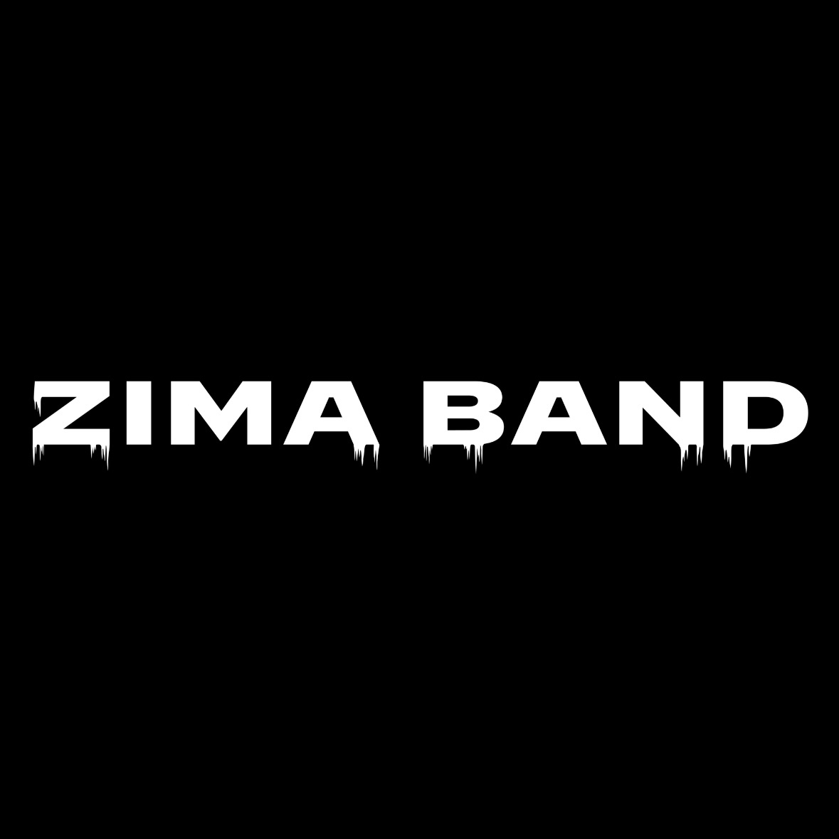 Zima Band Заказать кавер-группу ZIMA BAND — живая музыка на свадьбу, корпоратив и ...