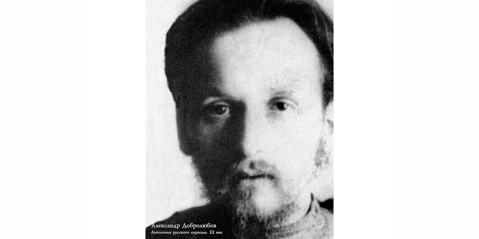 Александр Михайлович Добролюбов