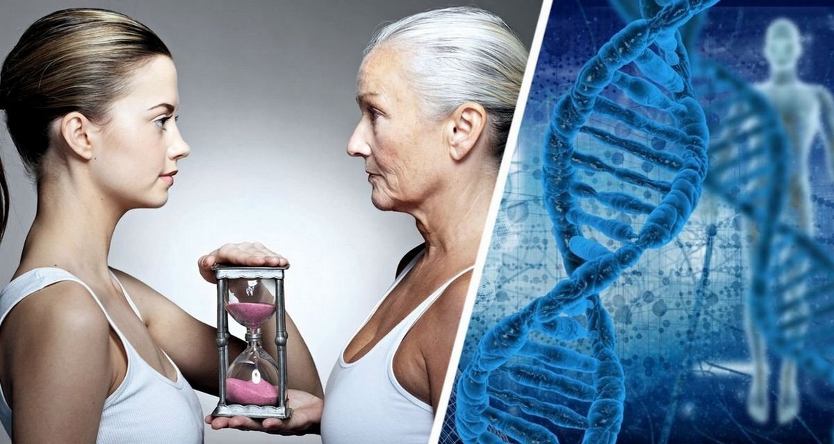 Биологические исследования