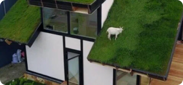 Неверное планирование дома