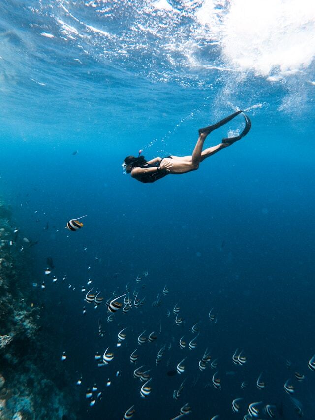 Snorkeling with manta rays in crystal clear water around Nusa Lembongan and Nusa Penida