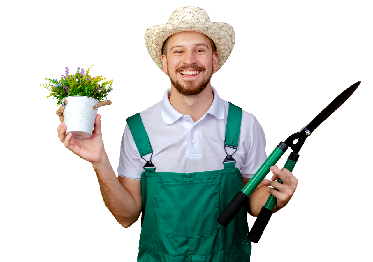 грядки из дпк