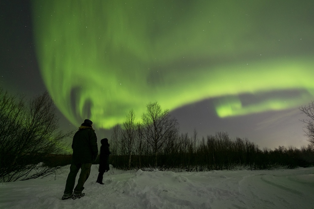 Новогодний тур — За китами и сиянием