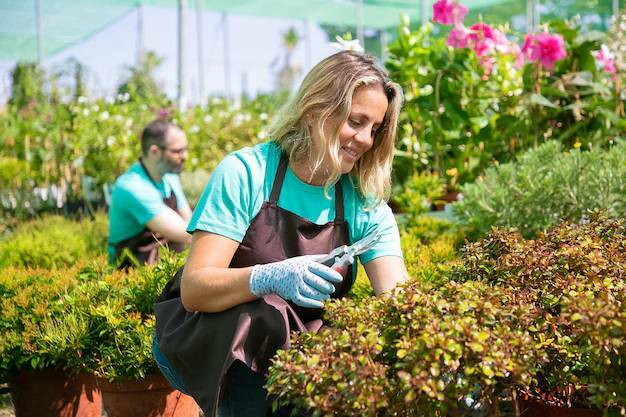 Садоводство для начинающих: советы и рекомендации для успешного начала