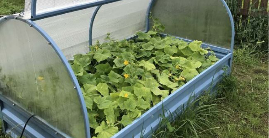 Теплицы в Кирове