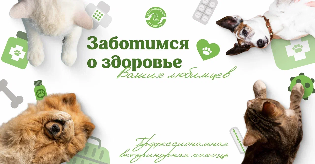Мобильная версия сайта
