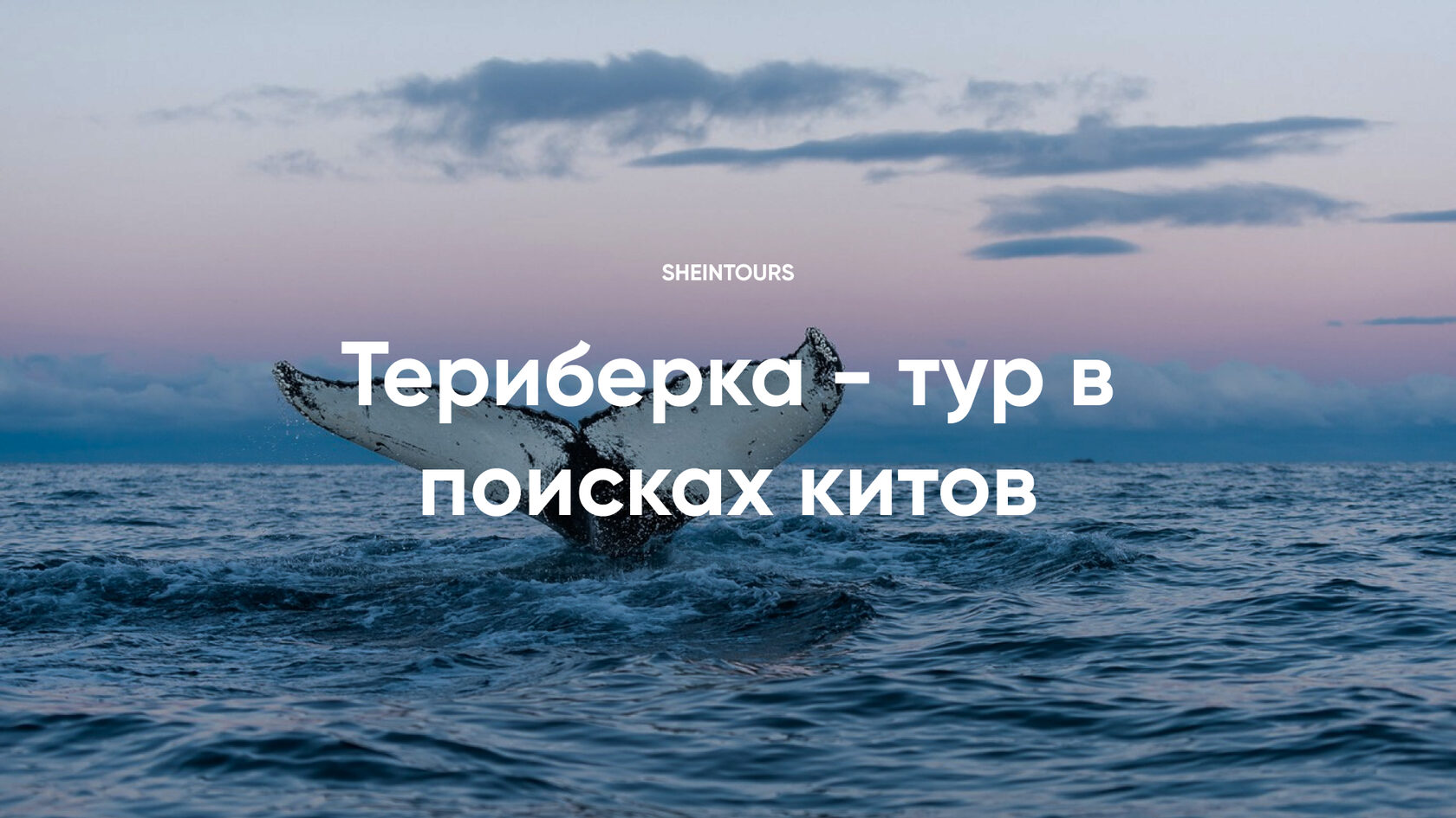 Тур В Териберку На Новогодние Праздники Тур В Териберку На Новогодние Праздники