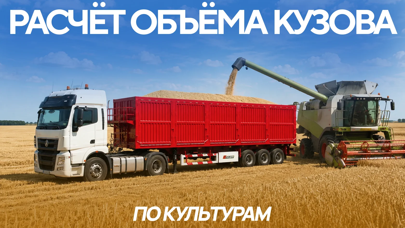 Зерновоз полуприцеп Амур LYR9601XXYE с зерном и комбайном в пшеничном поле