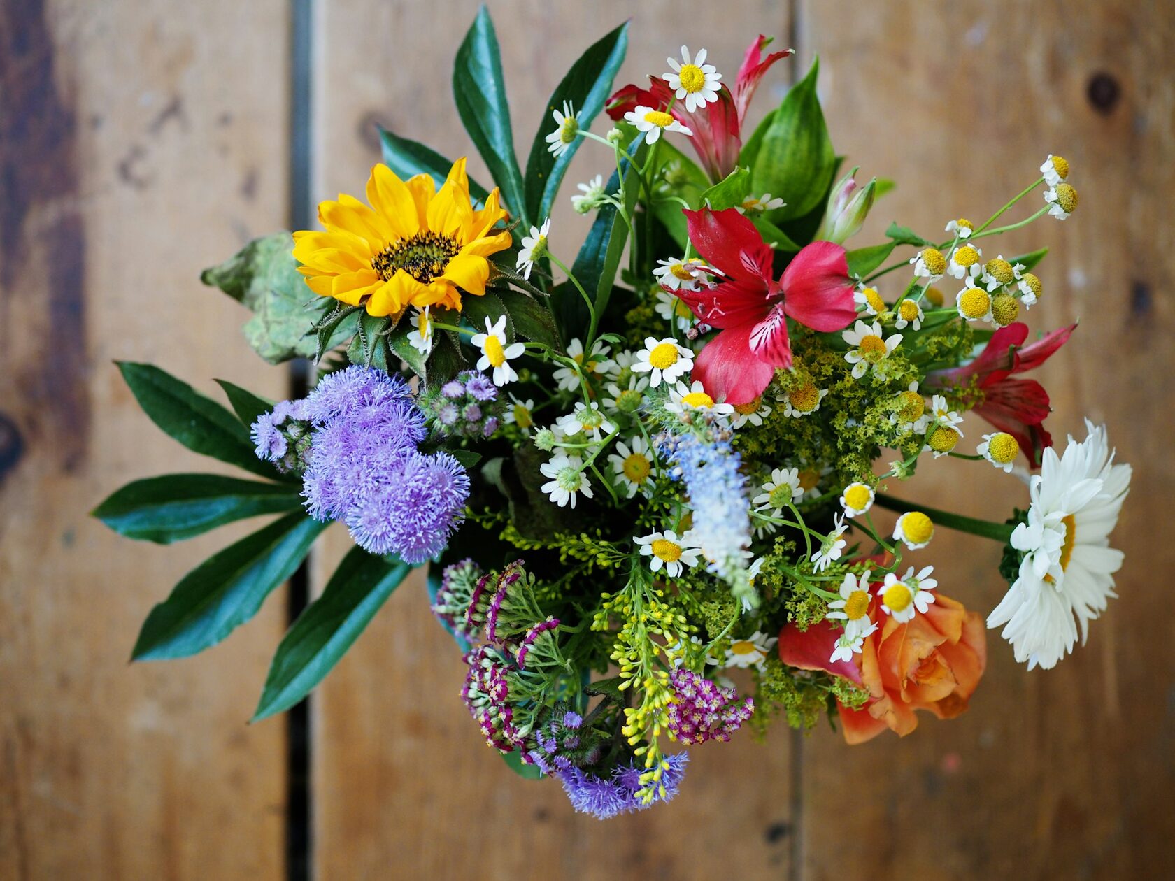Everyday flowers