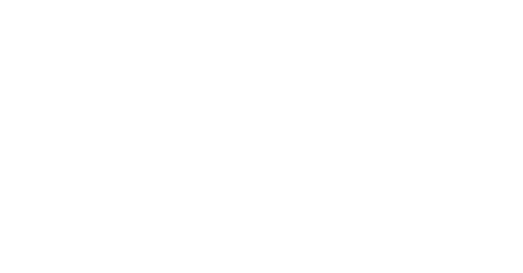 logo1
