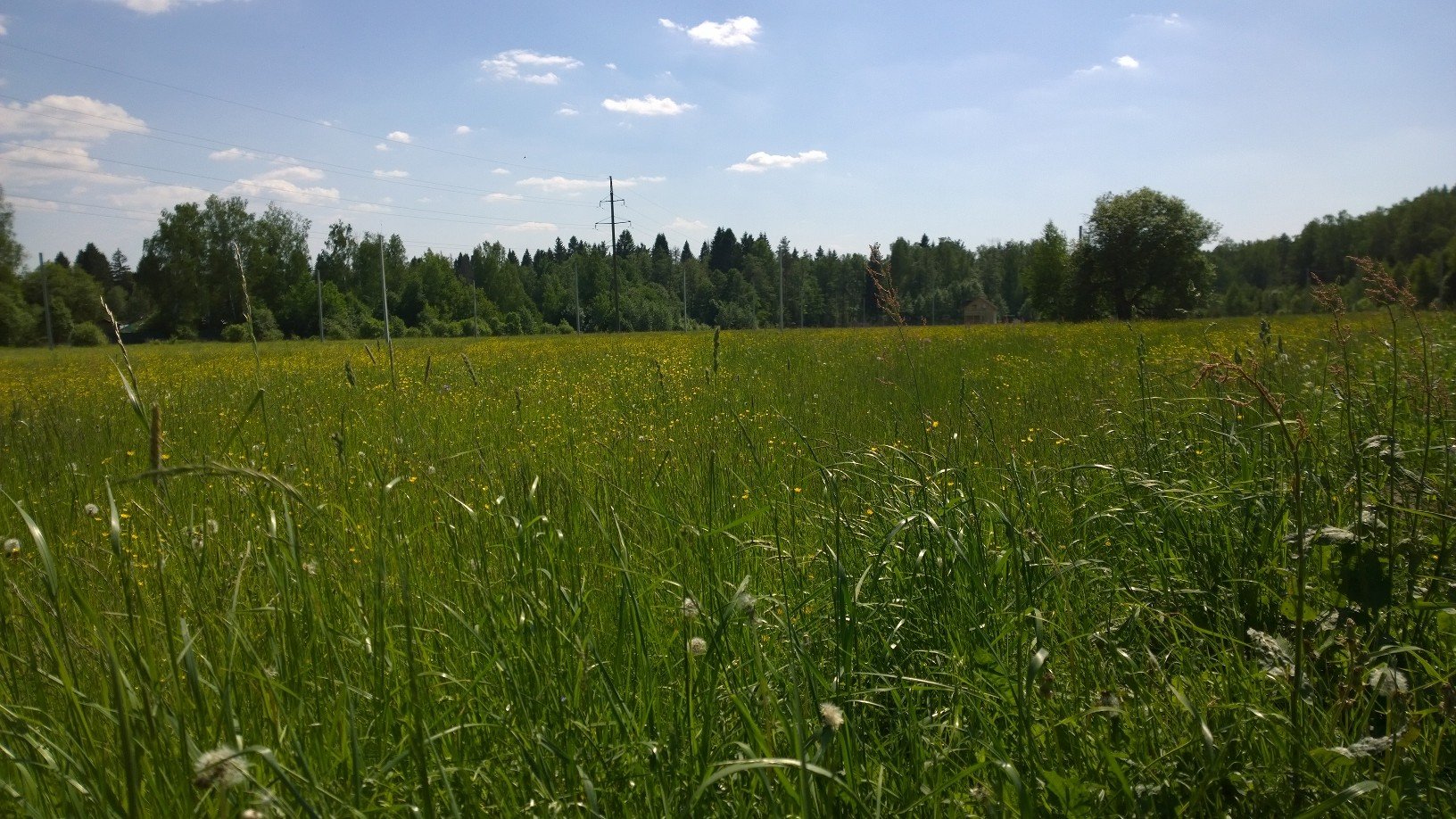 Барский луг Владимирская область. Барский луг коттеджный Судогодский район. Костино (Петушинский район). Барский луг Костино. Костино петушинский