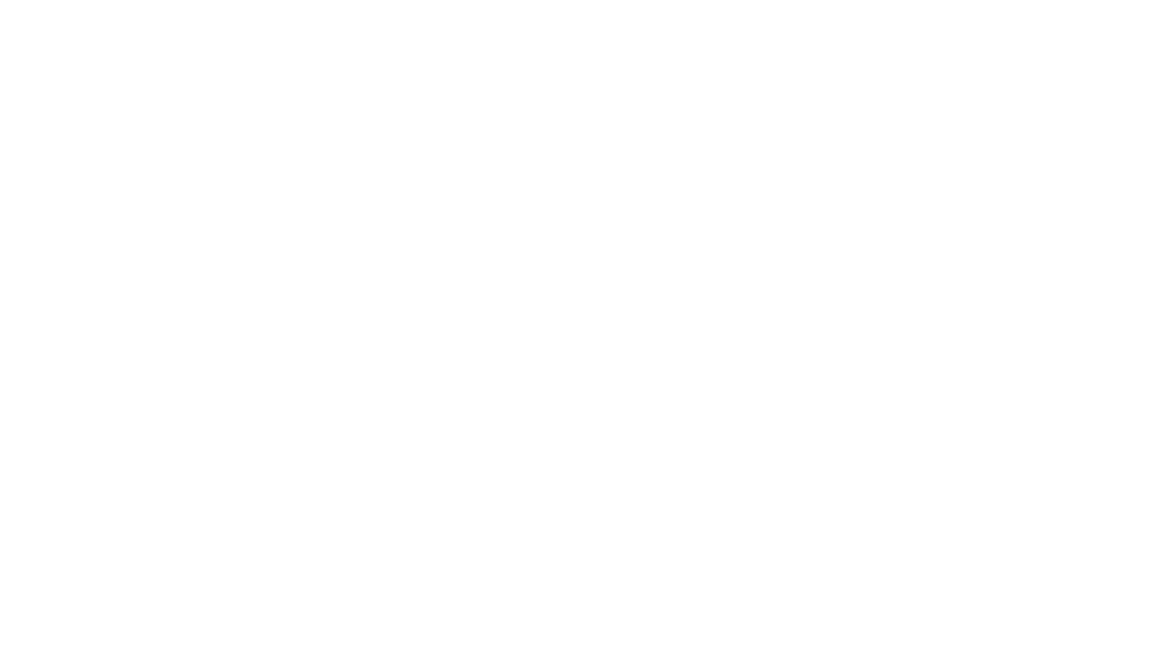 Партнёр 3