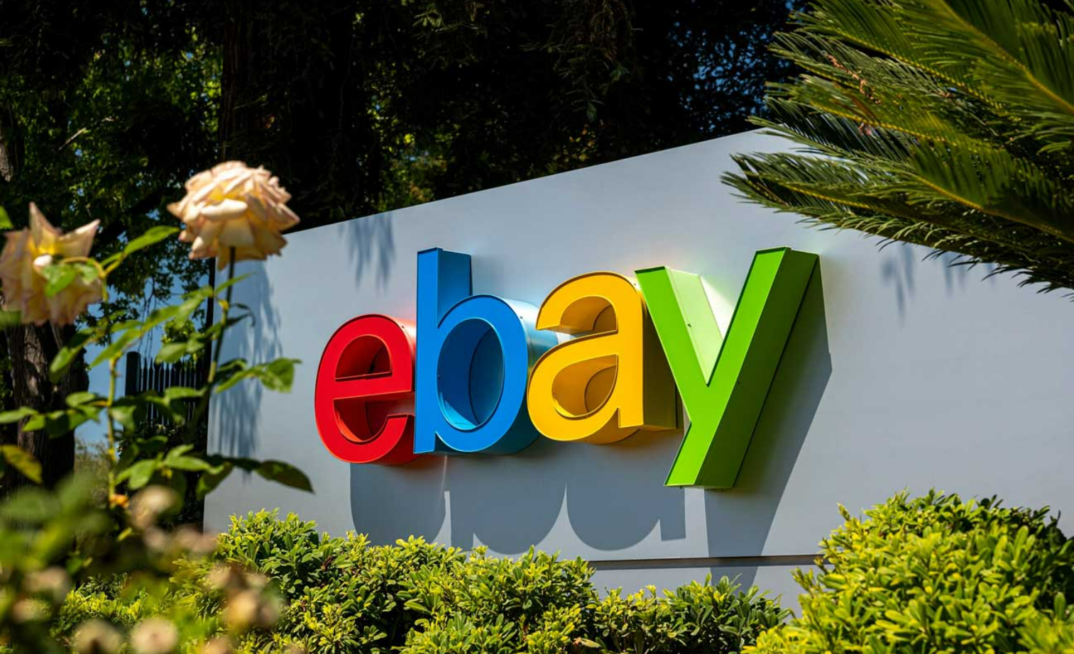 Международный посредник Ebay: организация покупки и доставки посылок 24 ...