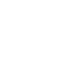 Портретная экспертиза