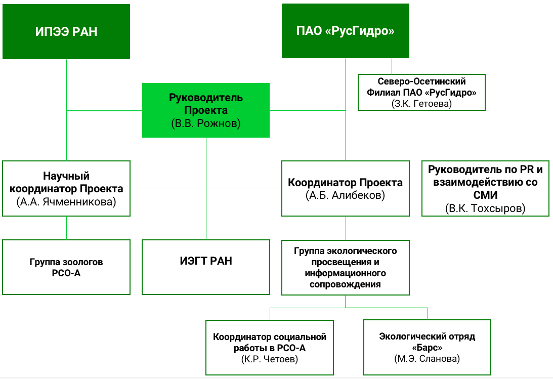 Структура юнеско схема