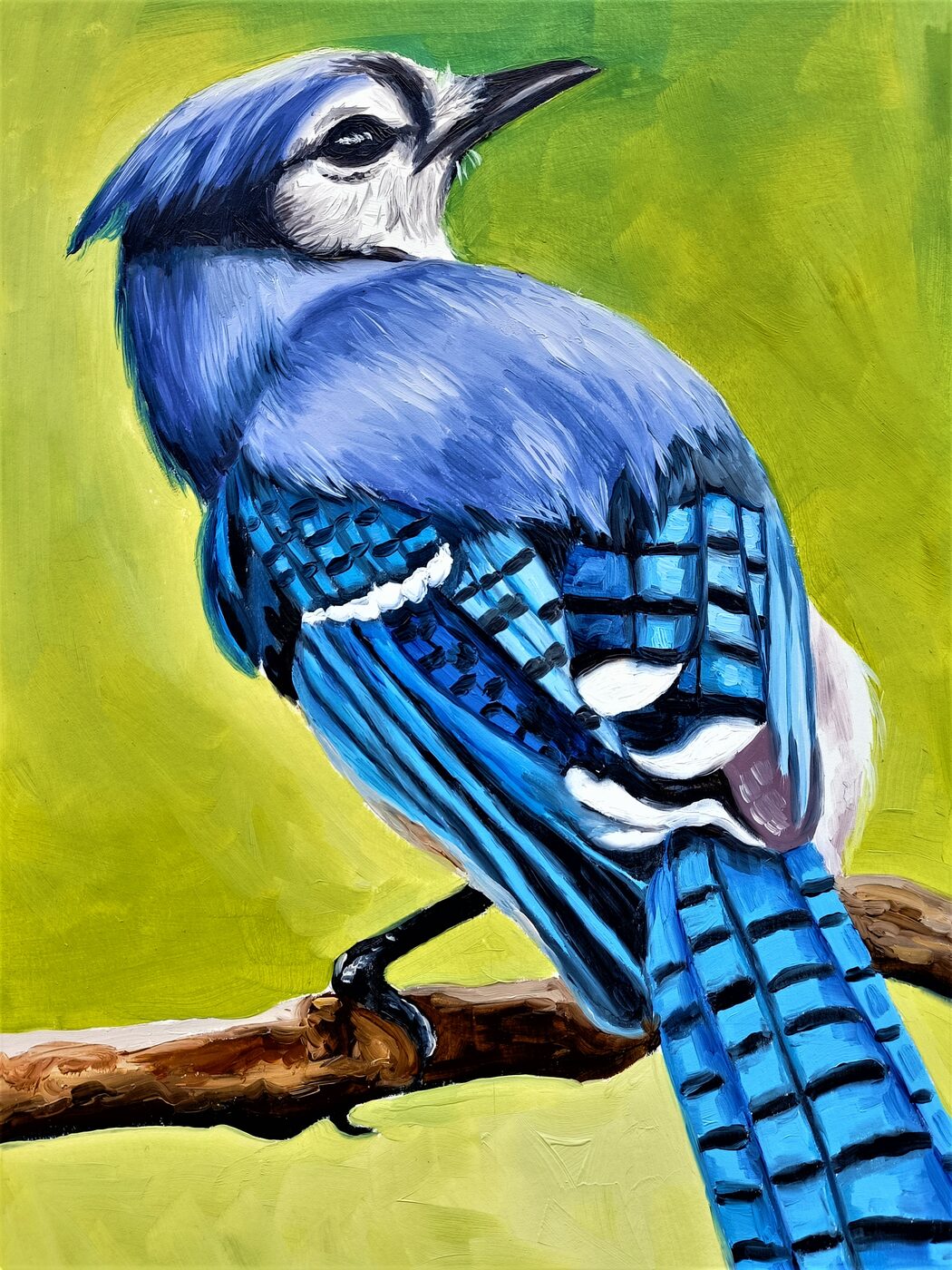 How to Paint a Blue Jay Bird Online Art Class for Begginers ArtZone
