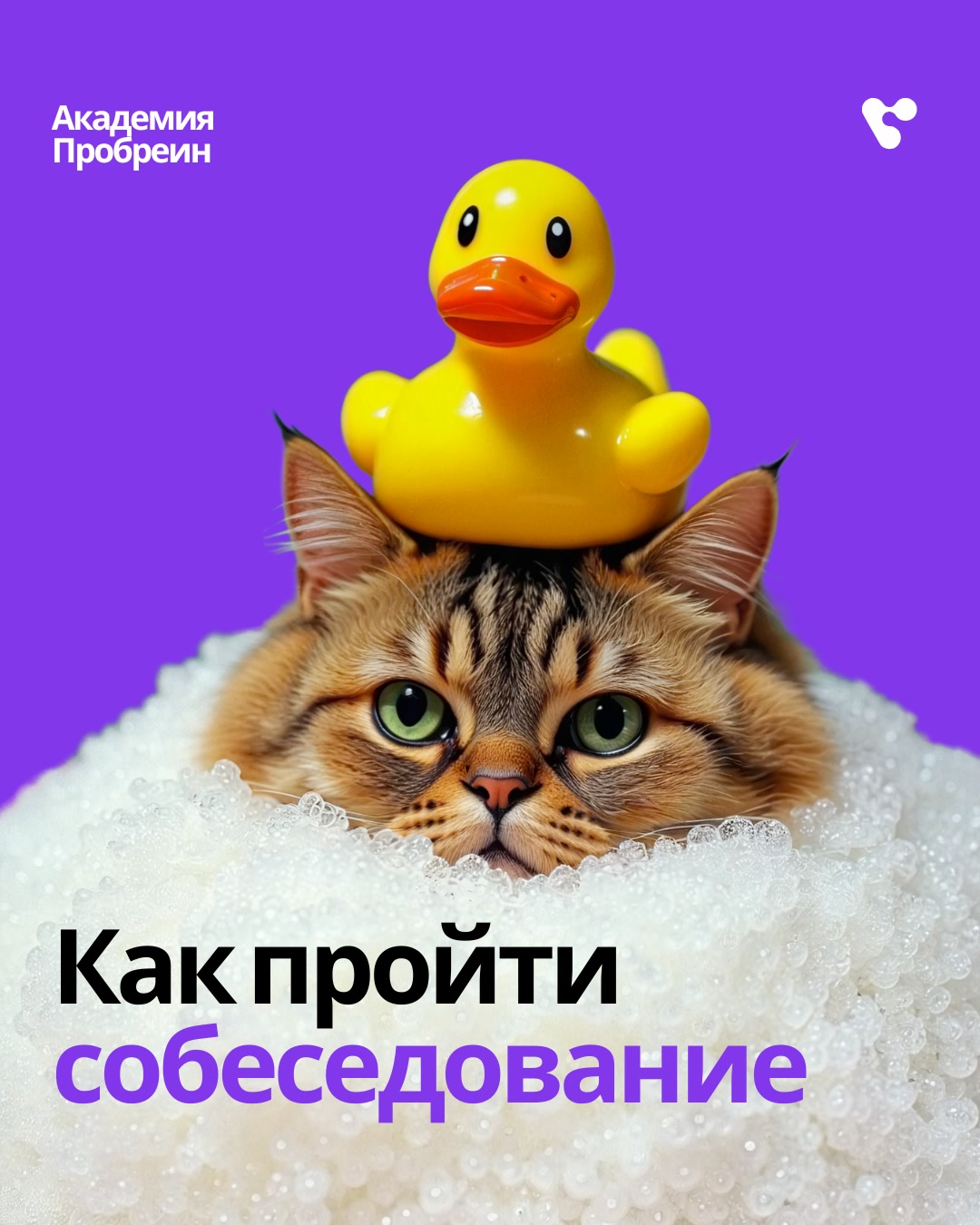 Пробреин академия