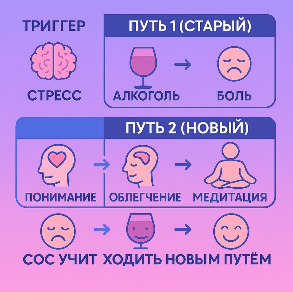 Система сос учит ходить новым путем по избавлению от алкоголя